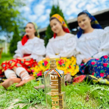 Floare De Maramures 1 Vadu Izei Exterior photo