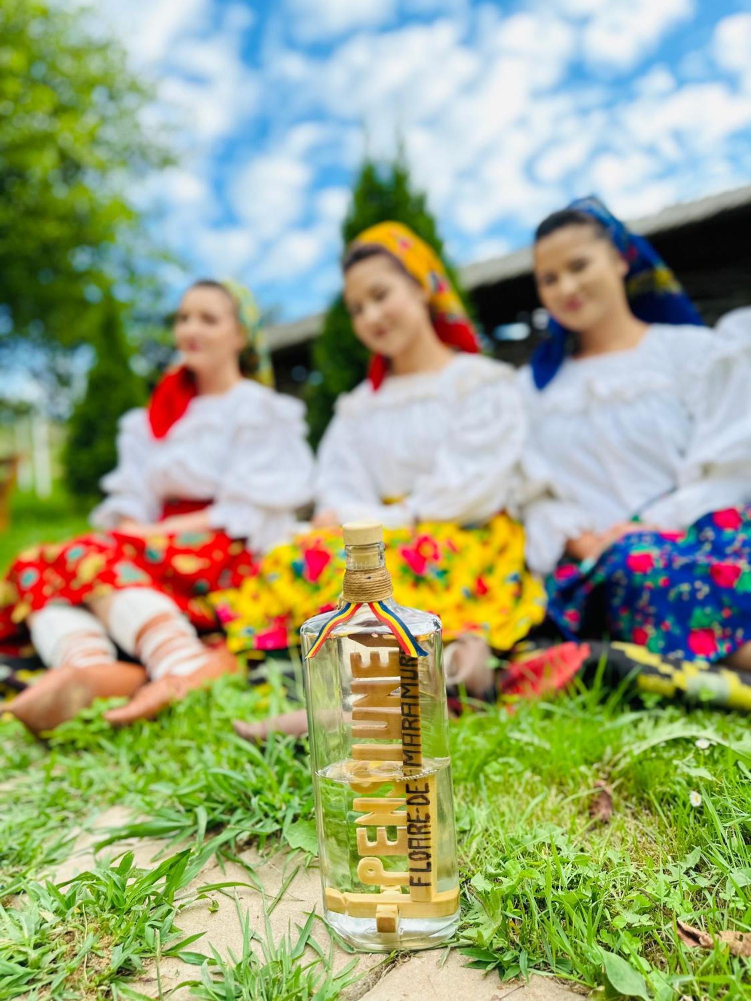 Floare De Maramures 1 Vadu Izei Exterior photo
