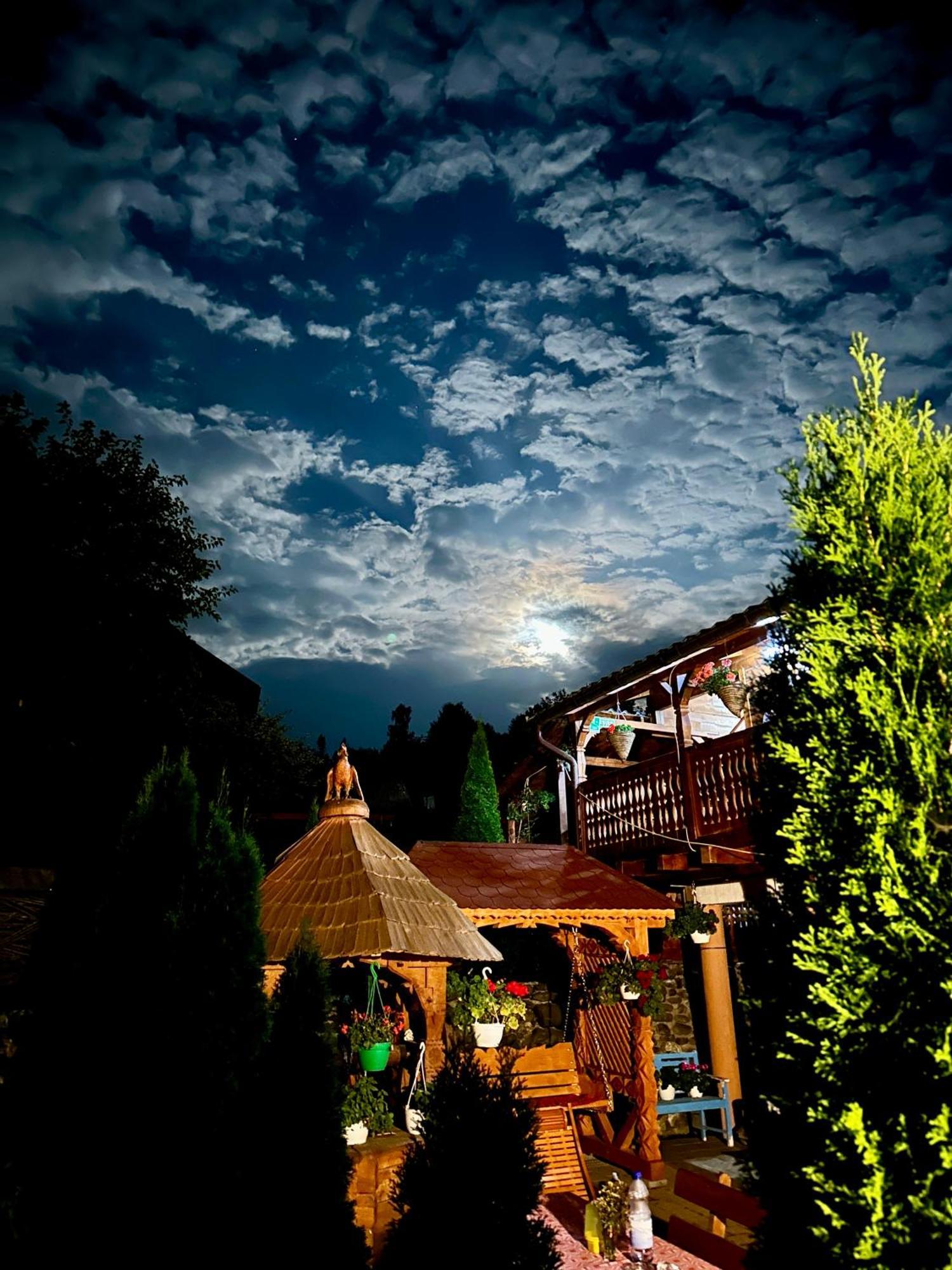 Floare De Maramures 1 Vadu Izei Exterior photo
